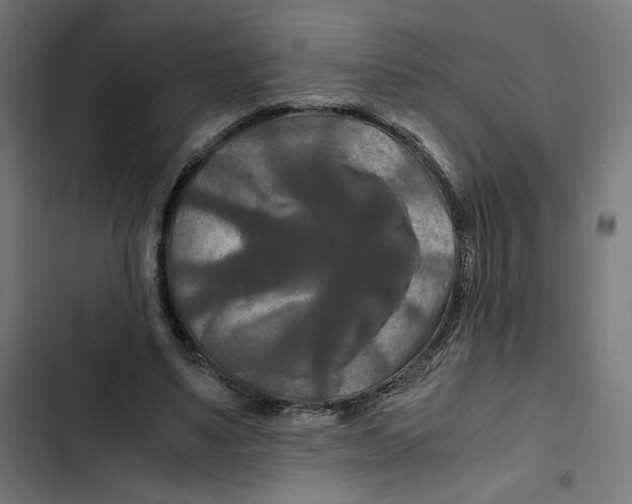 X0000102510491200809051414