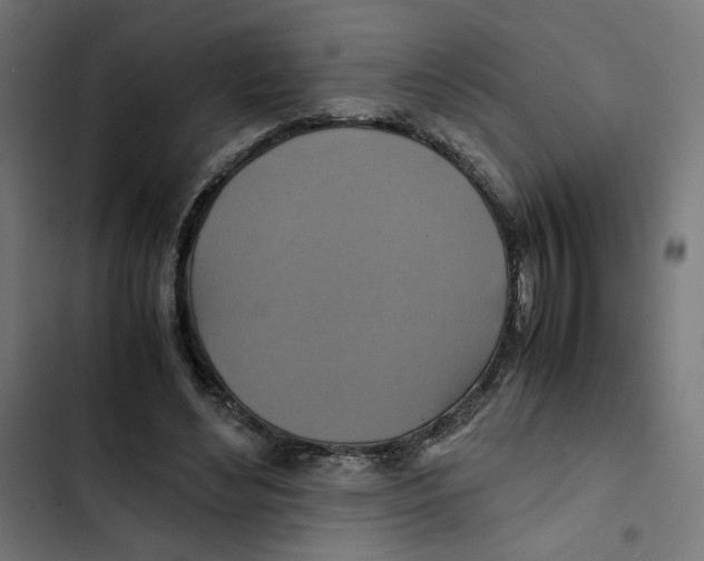 X0000102510492200809051414