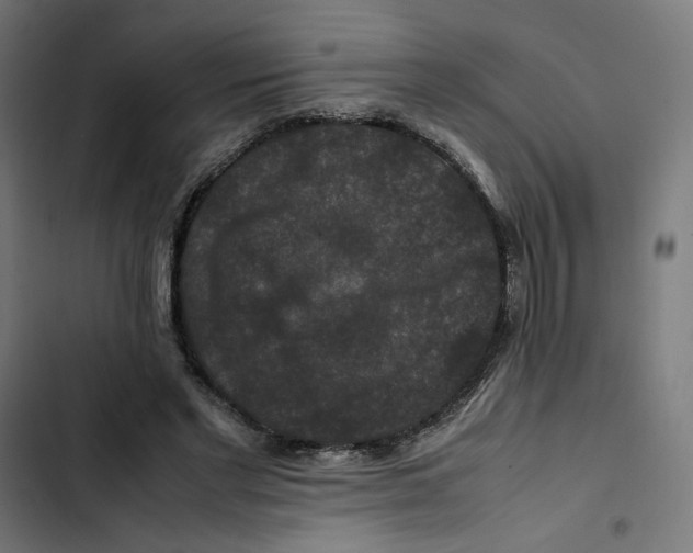 X0000102510493200809051414