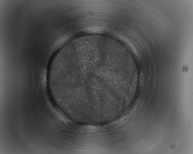 X0000102510494200809051414