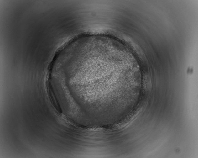 X0000102510495200809051413