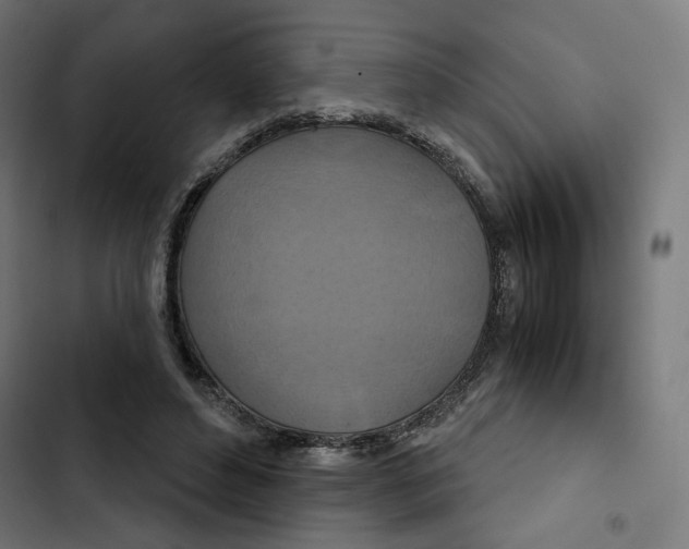 X0000102510496200809051413