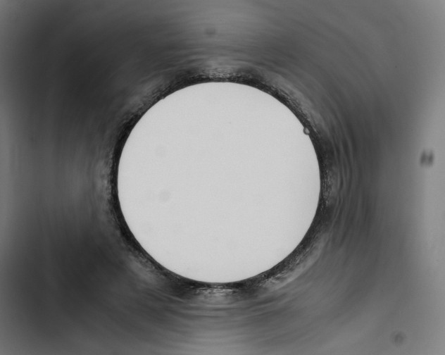 X0000102510497200809051413