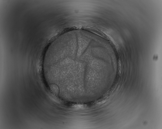 X0000102510499200809051413