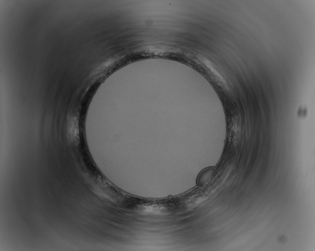 X0000102510500200809051413