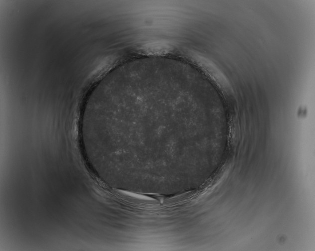 X0000102510501200809051413