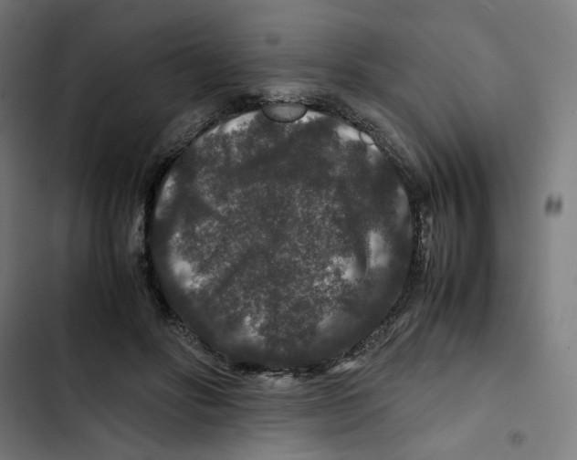 X0000102510502200809051413