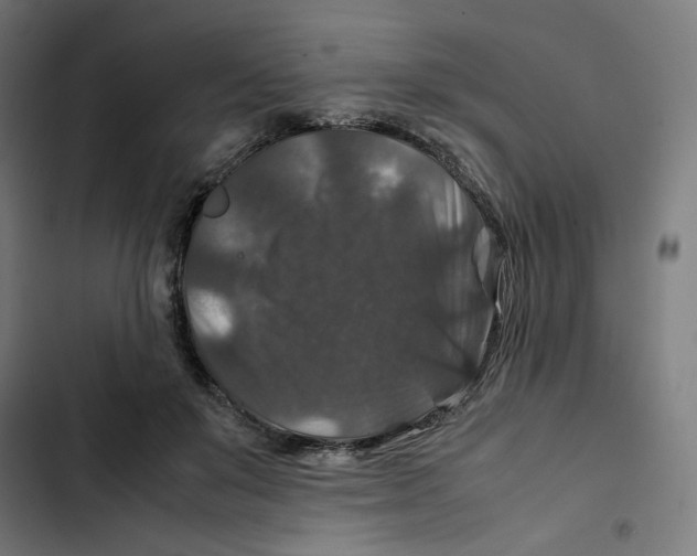 X0000102510503200809051413