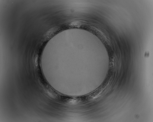 X0000102510504200809051413