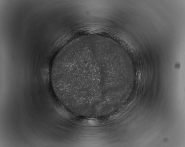 X0000102510506200809051413