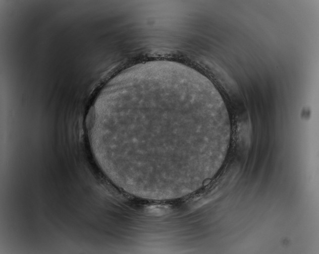 X0000102510508200809051413