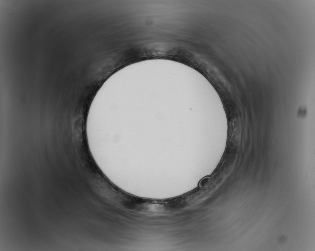 X0000102510509200809051413