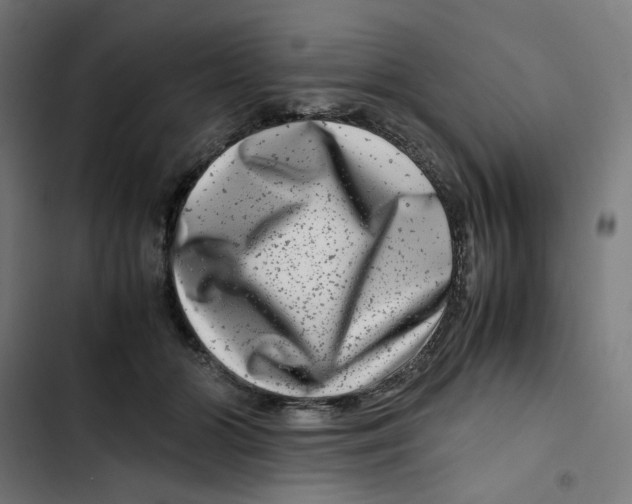 X0000102510510200809051413
