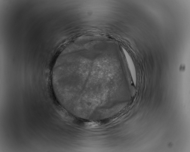 X0000102510511200809051413