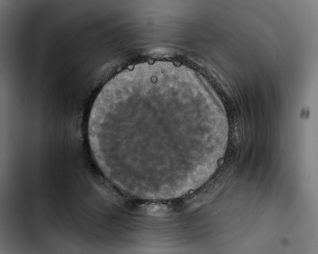 X0000102510512200809051413