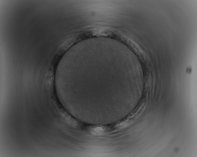X0000102510513200809051413