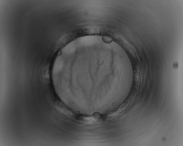 X0000102510516200809051413