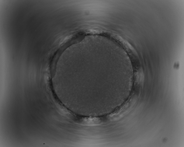X0000102510517200809051413
