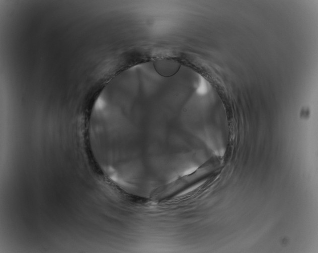 X0000102510519200809051413