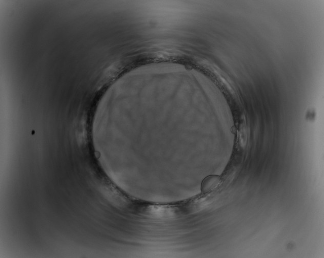 X0000102510520200809051413