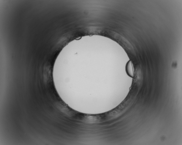 X0000102510522200809051413