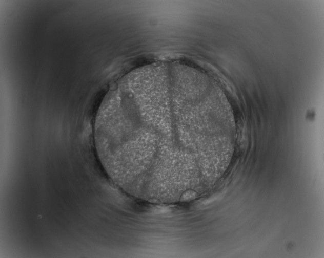 X0000102510523200809051413