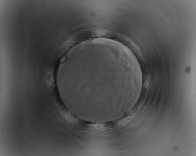 X0000102510524200809051413