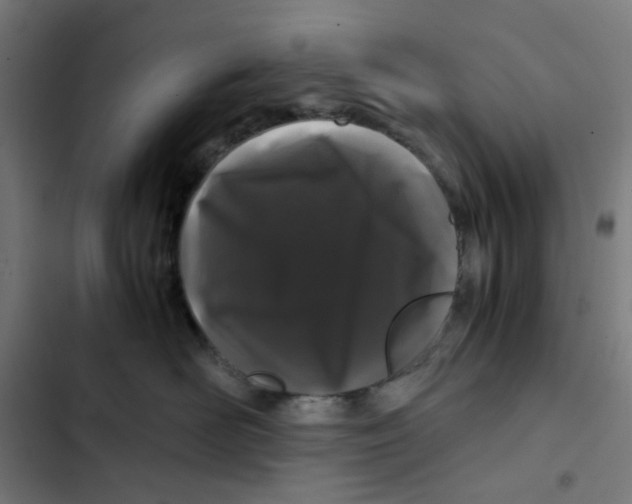 X0000102510526200809051413