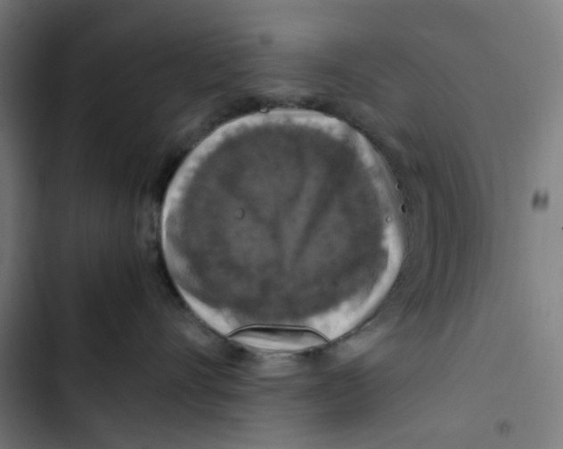 X0000102510528200809051413