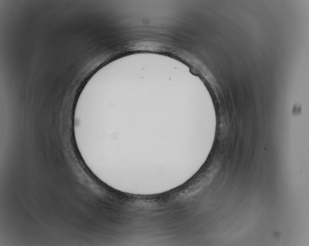 X0000102510529200809051412