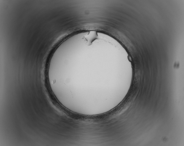 X0000102510530200809051412