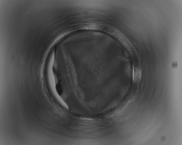 X0000102510531200809051412