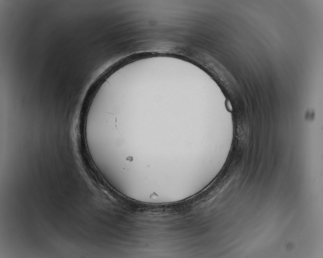 X0000102510532200809051412