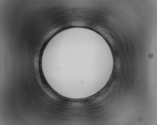 X0000102510533200809051412