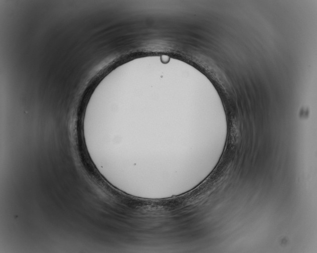 X0000102510535200809051412