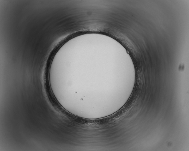 X0000102510536200809051412