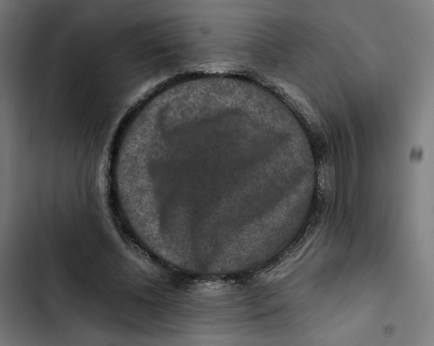 X0000102510540200809051412