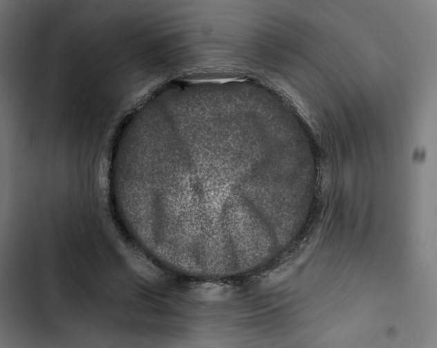 X0000102510542200809051412
