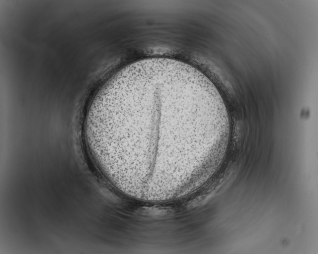X0000102510545200809051412