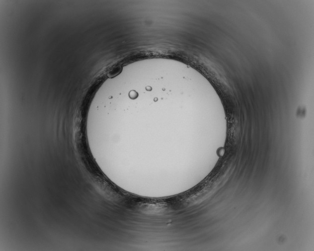 X0000102510548200809051413