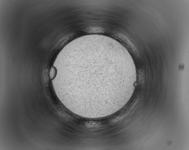 X0000102510549200809051413