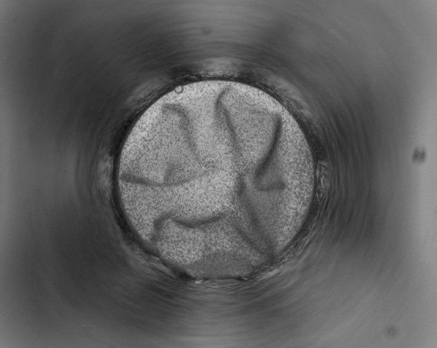 X0000102510550200809051413