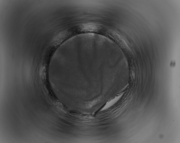 X0000102510551200809051413