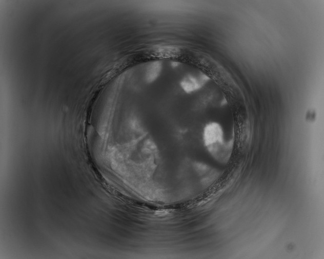 X0000102510553200809051413