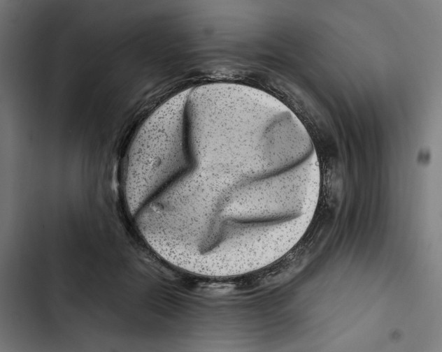 X0000102510554200809051413
