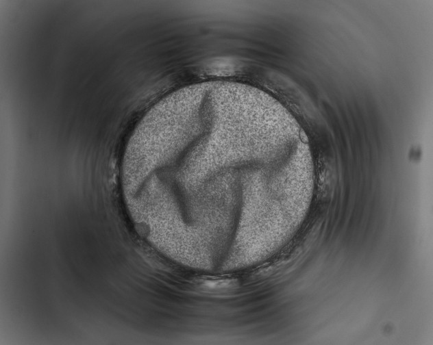 X0000102510555200809051413