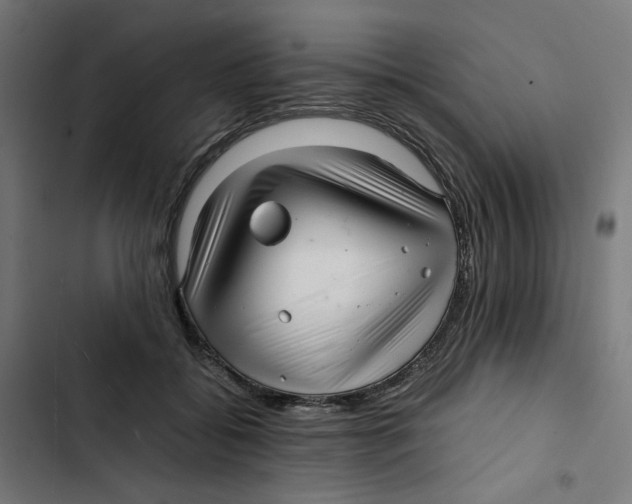 X0000102510556200809051413