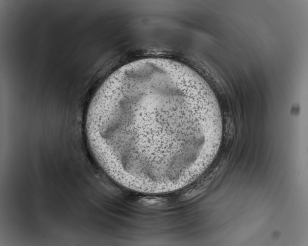 X0000102510557200809051413