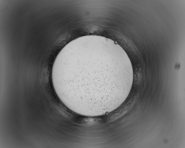 X0000102510558200809051413