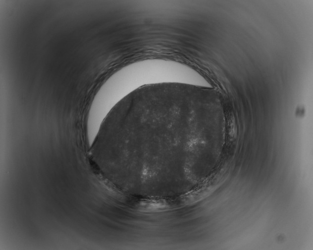 X0000102510559200809051413